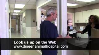 Dineen Animal Hospital  Wilmington North Carolina  Veterinarians [upl. by Airdni]