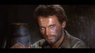 Terence Hill edit [upl. by Enyrat]