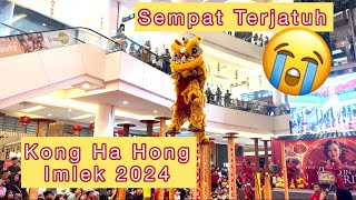 Barongsai Kong Ha Hong Imlek 2024 [upl. by Lesna620]