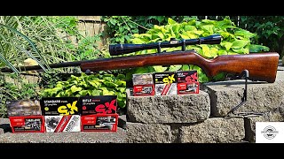 BRNO Mod 4 Budget 22LR Ammo Range Review [upl. by Vacuva]