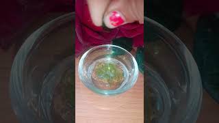 Homemade anti ageing creamantiageingskincarenaturalcreamskincareyoutubeshortvideoviralshorts [upl. by Lavinia]