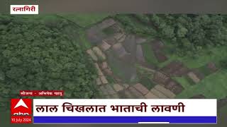 Ratnagiri Konkan Farms Drone Video  कोकणात शेतीची कामं अंतिम टप्प्यात पाहा भात शेतीचा विहंगम दृश्य [upl. by Towny509]