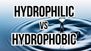 Hydrophilic vs Hydrophobic [upl. by Rob]