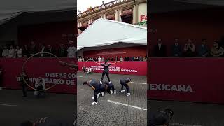 Unidad canina policiaestatalxalapaveracruzmexicodesfile del20noviembre 2024 [upl. by Assirec]