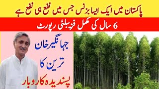 Trees Farming Documentary  Sufaida Farming in Pakistan [upl. by Hardigg]