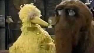 Sesame Street  Episode 1706 street scenes 23 [upl. by Mundford]