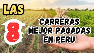 LAS 8 CARRERAS MEJOR PAGADAS EN PERU 2024 [upl. by Christal]