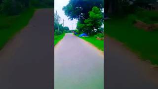 stuts video sohrts WhatsApp bawnloadharyale youtudesearch🙏🙏🙏😎 [upl. by Eeruhs28]