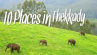 Top 10 Places  Thekkady  south india tourism [upl. by Niel710]