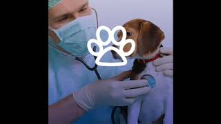 Médicina veterinária video para status ❤ [upl. by Ihp]