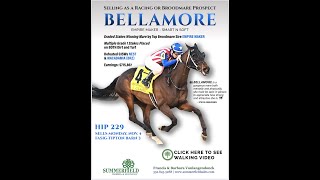 2024 Fasig Tipton November Sale  Bellamore G3W by Empire Maker [upl. by Witty883]