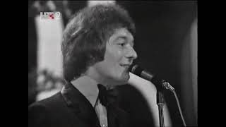 THE HOLLIES 1968  The Split Pop Festival [upl. by Ellerret]