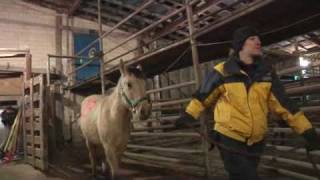 116 horses rescued in Arkansas  December 14 2010 [upl. by Aterg501]