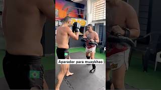 MUAY THAI  aparador para muaykhao muaythai thaiboxing mma ufc luta boxing muaythai [upl. by Negris]