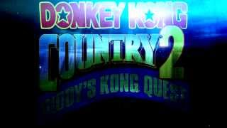 REMIX  Donkey Kong Country 2 Lockjaws Saga Sunken [upl. by Armmat]