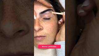 Brows Lamination in seconds 8 juliedesigner ytshortsuk youtubeshorts brows [upl. by Arnst]