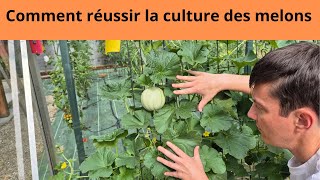 Comment réussir la culture des melons [upl. by Nyladgam901]