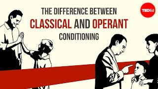 The difference between classical and operant conditioning  Peggy Andover [upl. by Albion564]