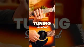 How to Tune an Acoustic Guitar for Beginners  StepbyStep Guide [upl. by Melan]