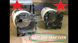 Best Live Trap for Raccoon amp Skunk Easy Release [upl. by Uzziel]