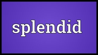 Splendid Meaning [upl. by Jacinta]