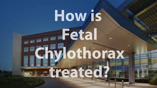 What Is Fetal Chylothorax [upl. by Lacy]