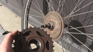 How to Change a FreewheelCassette on a Bicycle [upl. by Sibel424]