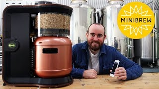 How to make a Stronger Ginger Beer 7  8 [upl. by Midge]