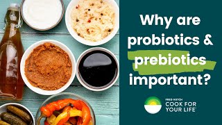 Your MostAsked Questions About Nutrition Why are probiotics amp prebiotics important [upl. by Fredric57]