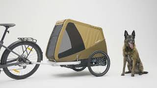 Croozer Tammo Dog Bike Trailer  XLarge Dogs [upl. by Einitsed]