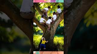 Kids climb on a tree babyboy baby cute adorable [upl. by Sane]