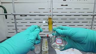 Isolating pnitrothymol via Column Chromatography [upl. by Millhon]