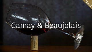 가메 amp 보졸레 Gamay amp Beaujolais  와인 품종 amp 생산 지역 이야기  와인 기초  와인공부 [upl. by Fulton155]