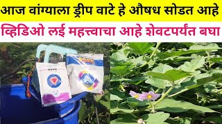 mar rog upay सर्व पिकातील मर रोग उपाय  mar rog niyantran  Death remedy [upl. by Eanahc]