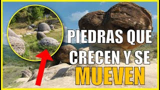 Trovants  😮 El misterio de las piedras vivas que crecen y se mueven 🔥 [upl. by Eedak819]