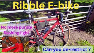 Can you derestrict a Ribble ebike  purple fault light gone [upl. by Fitton]