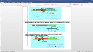 Adaptation métabolisme bactérien  Opéron lactose [upl. by Wilhelmine]