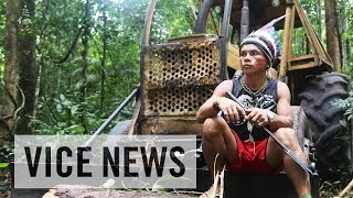 Illegal Loggers The Tribe Waging War in the Amazon [upl. by Eenot]