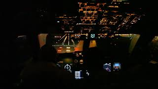 Посадка Ил96 в Шереметьево  Ilyushin Il96 Landing at UUEE Cockpit view [upl. by Noyerb]