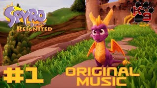 Spyro Reignited Trilogy  Spyro 1  Gameplay 1 Original Music [upl. by Gora760]