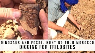 Dinosaur amp fossil hunting tour Morocco  Digging for Trilobites [upl. by Eceinej]