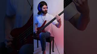 Bullet For My Valentine  Disappear Bass Cover [upl. by Devy951]