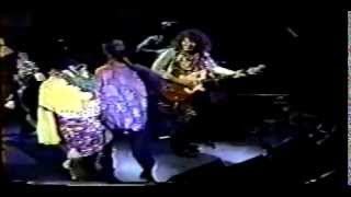 ELVIS DOES ZEPPELIN DREAD ZEPPELIN LIVE [upl. by Acissehc859]