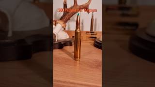 300 Winchester Magnum jagd hunting kaliber Sport militär großwild outdoor longrange [upl. by Lalise]