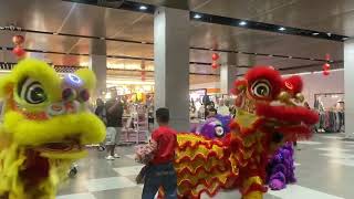 Performance barongsai chinlik di palembang indah mall [upl. by Esilehs356]