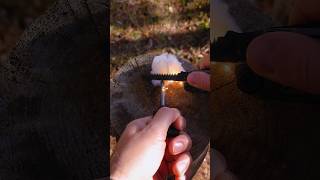 The RIGHT Way to use a Ferro Rod lifehacks survival camping [upl. by Aneger]