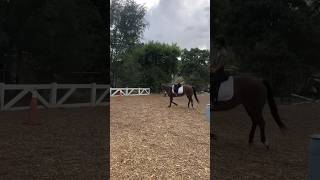 Emery cantering this horse for its first time ever horse horsecommunity horselife horseworld [upl. by Brockwell701]