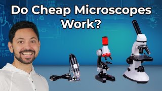 Do Cheap Microscopes Actually Work [upl. by Julius625]