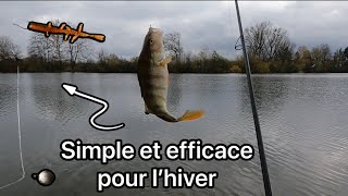 Une technique de pêche efficace en hiver perche et brochet [upl. by Berliner]