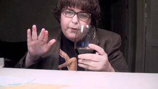 Wine Tasting With Andy Milonakis [upl. by Ahsille]